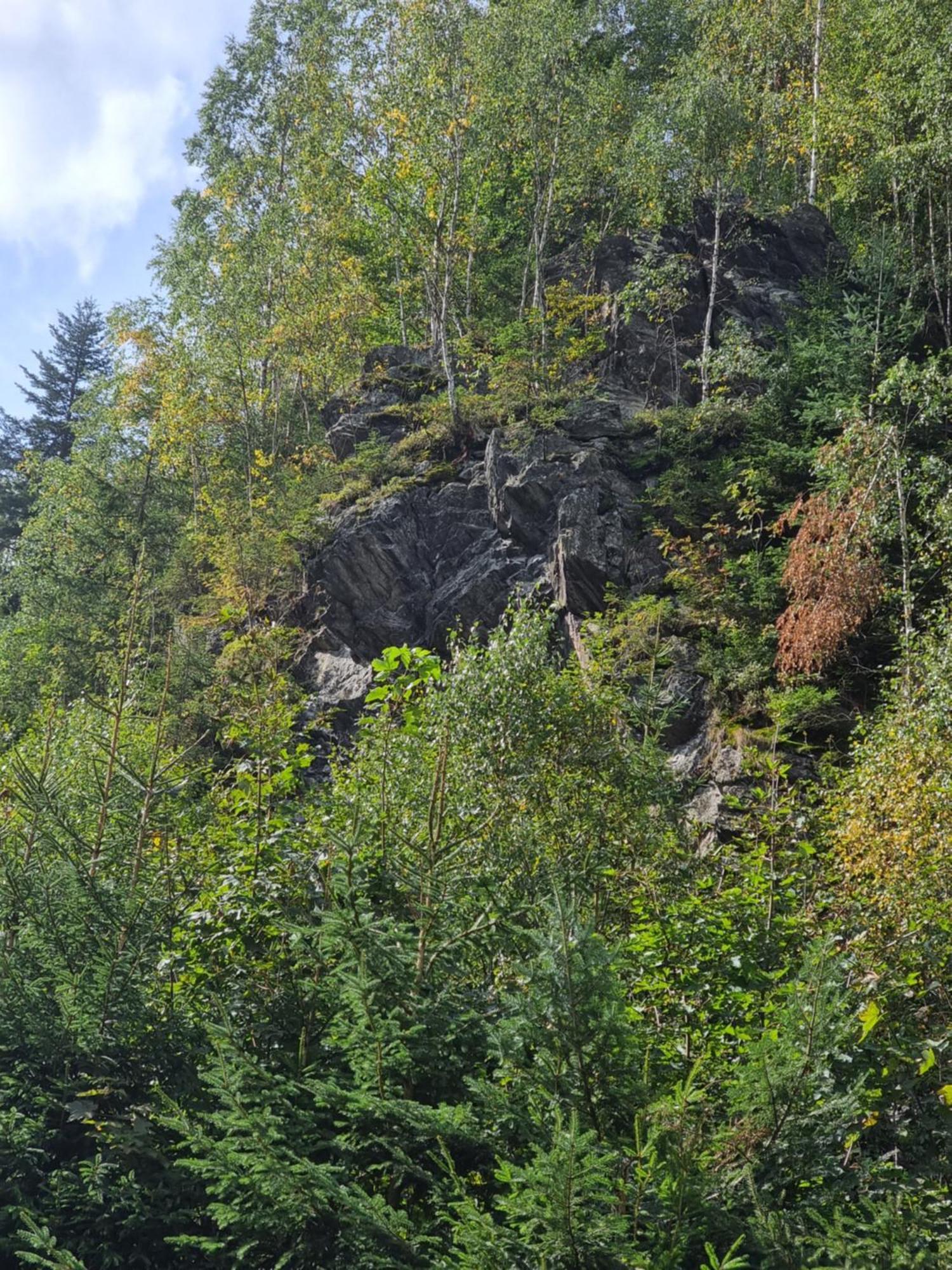 Roubenka Mlyn U Skaly Destne V Orlickych Horach Volne Terminy 5 Bytu Exterior photo
